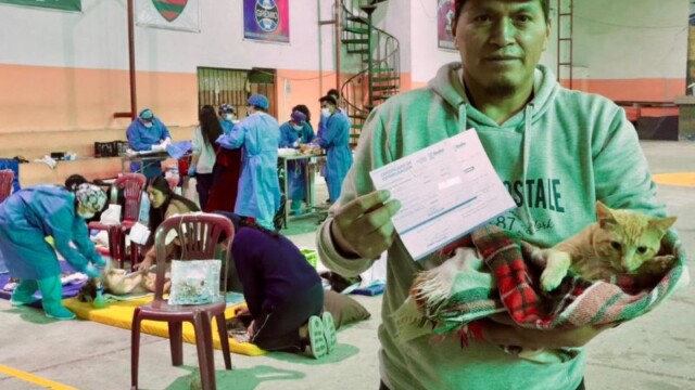 Cerca de 100 perros y gatos fueron esterilizados en el barrio Buenaventura