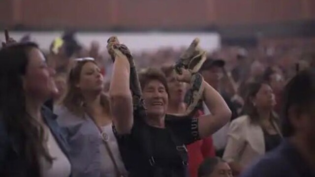 Tradición, música y solidaridad brillaron en el Festival del Pasacalle 2025